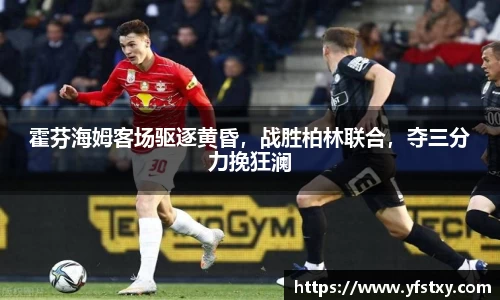 XK星空体育官网